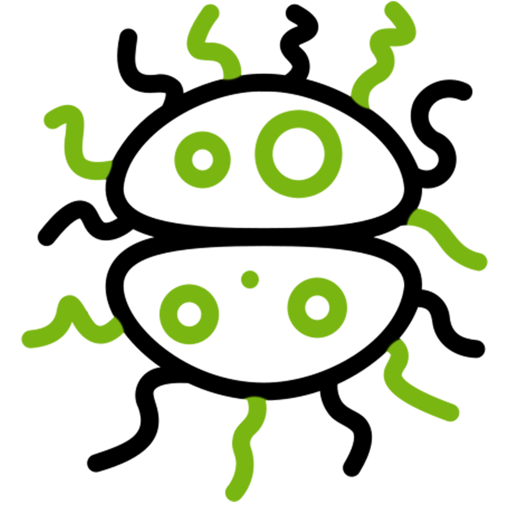 Ticks