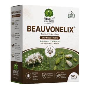 Beauvonelix