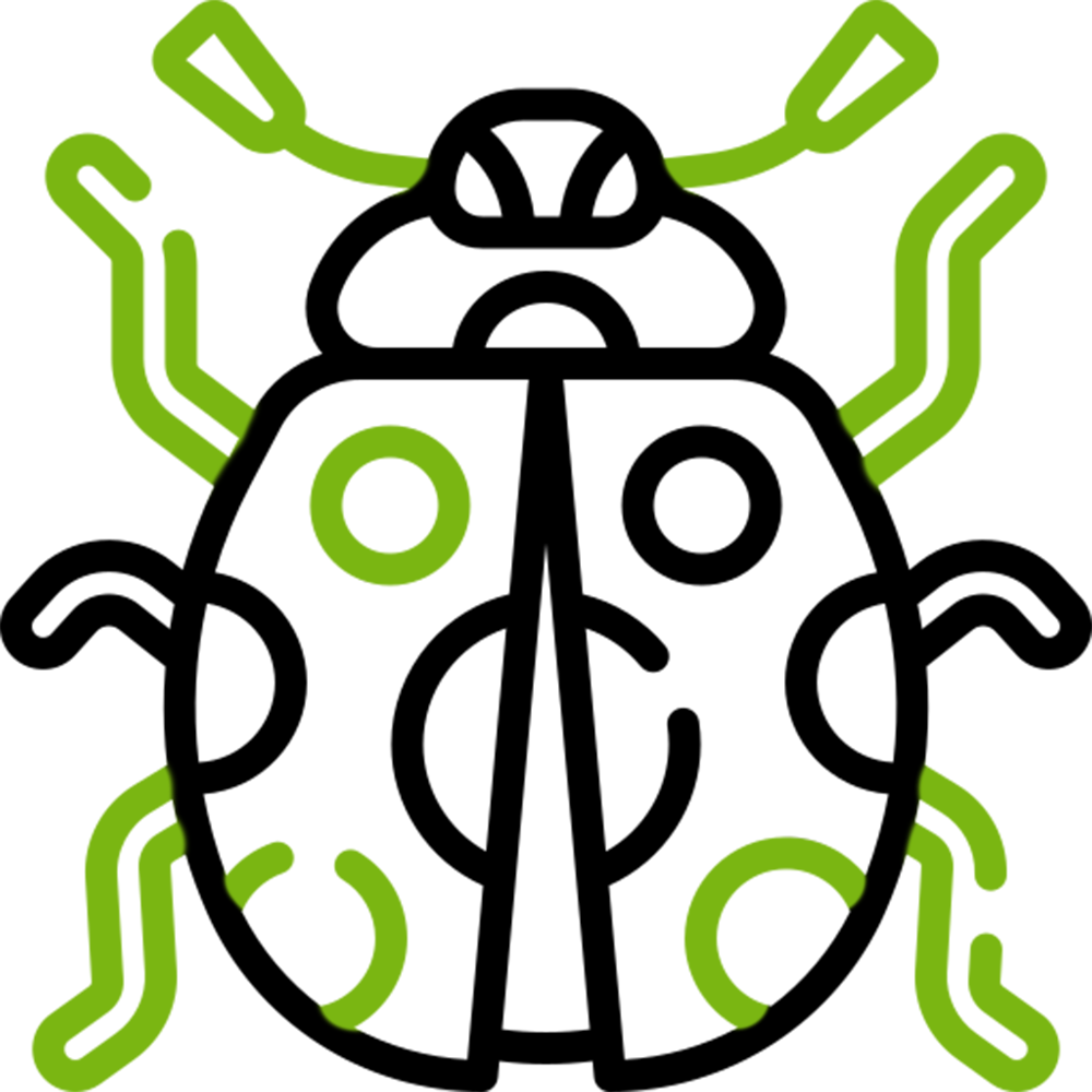 Ticks