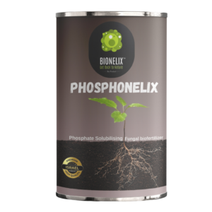 Phosphonelix