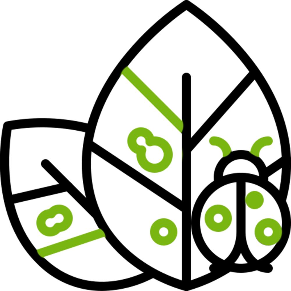 Ticks