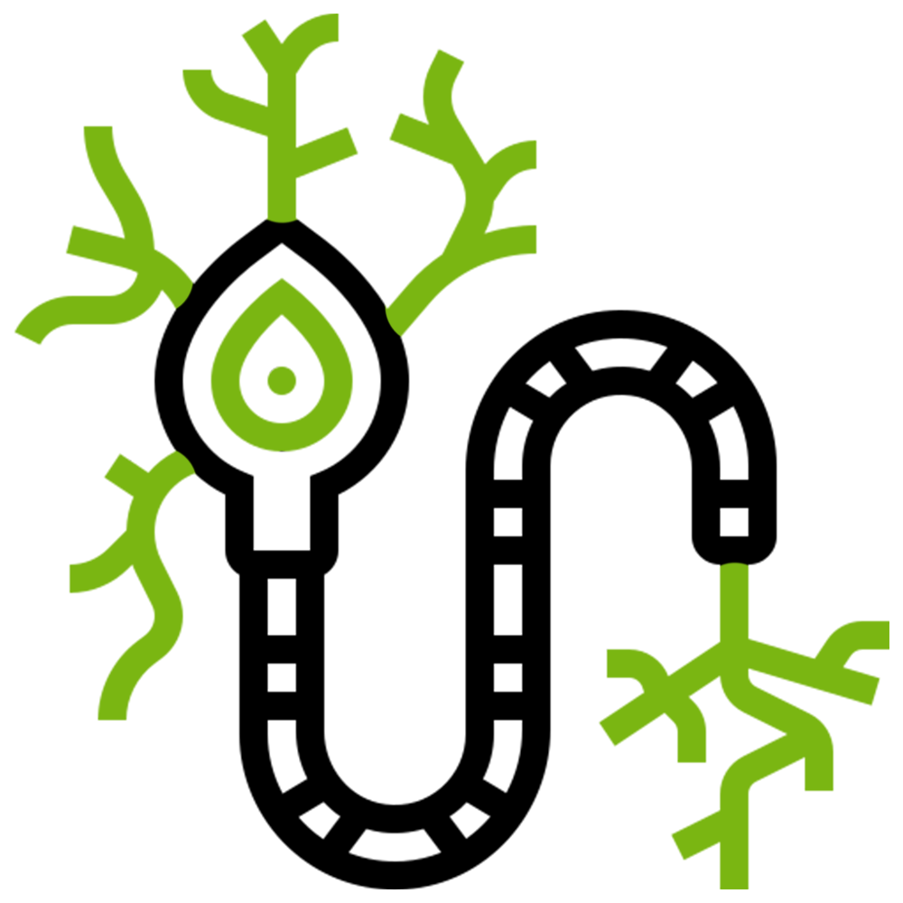 Ticks