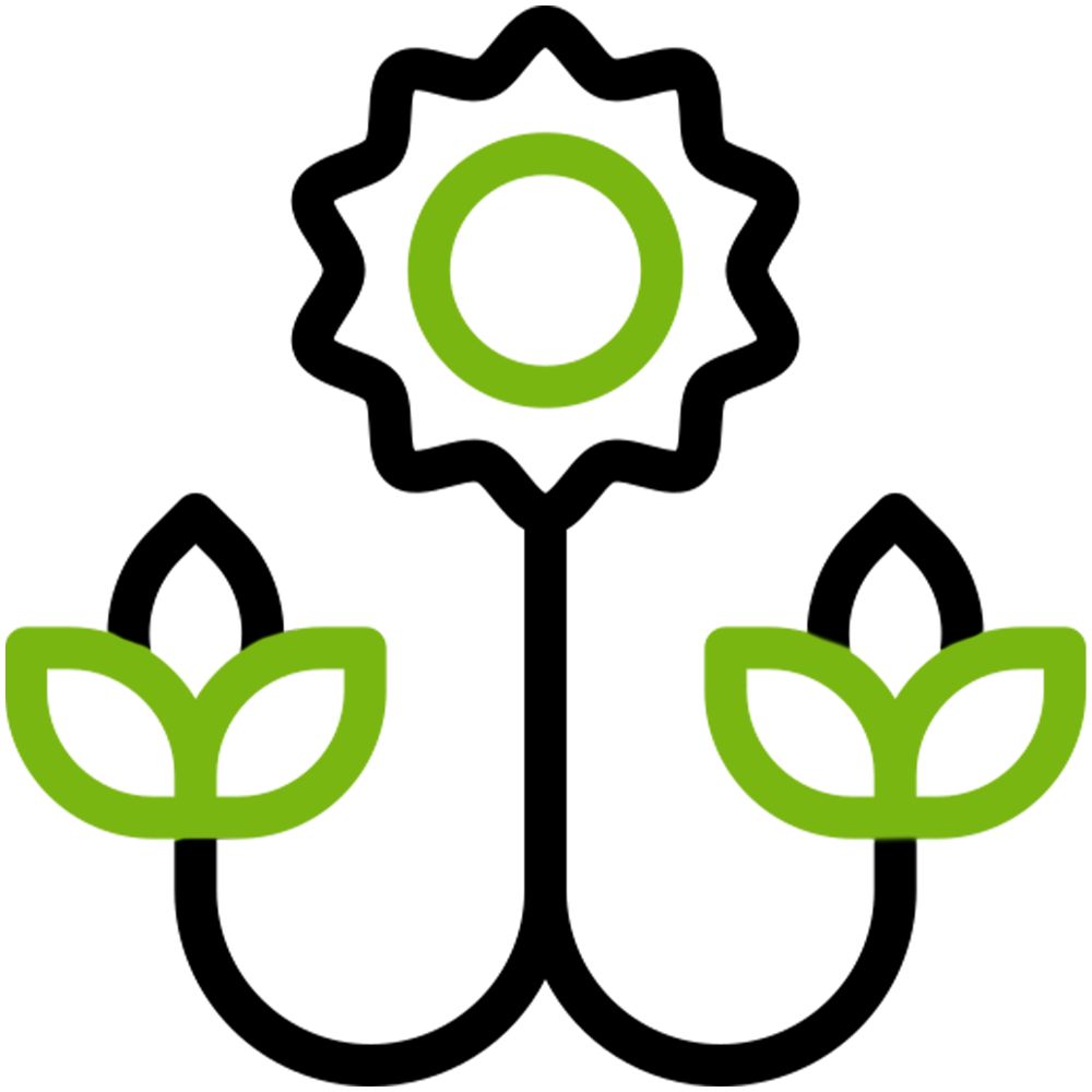 Ticks