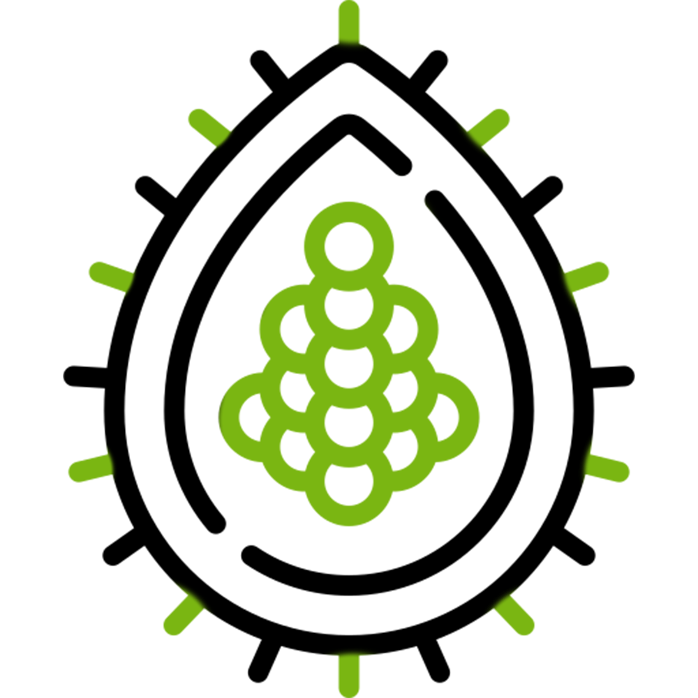 Ticks