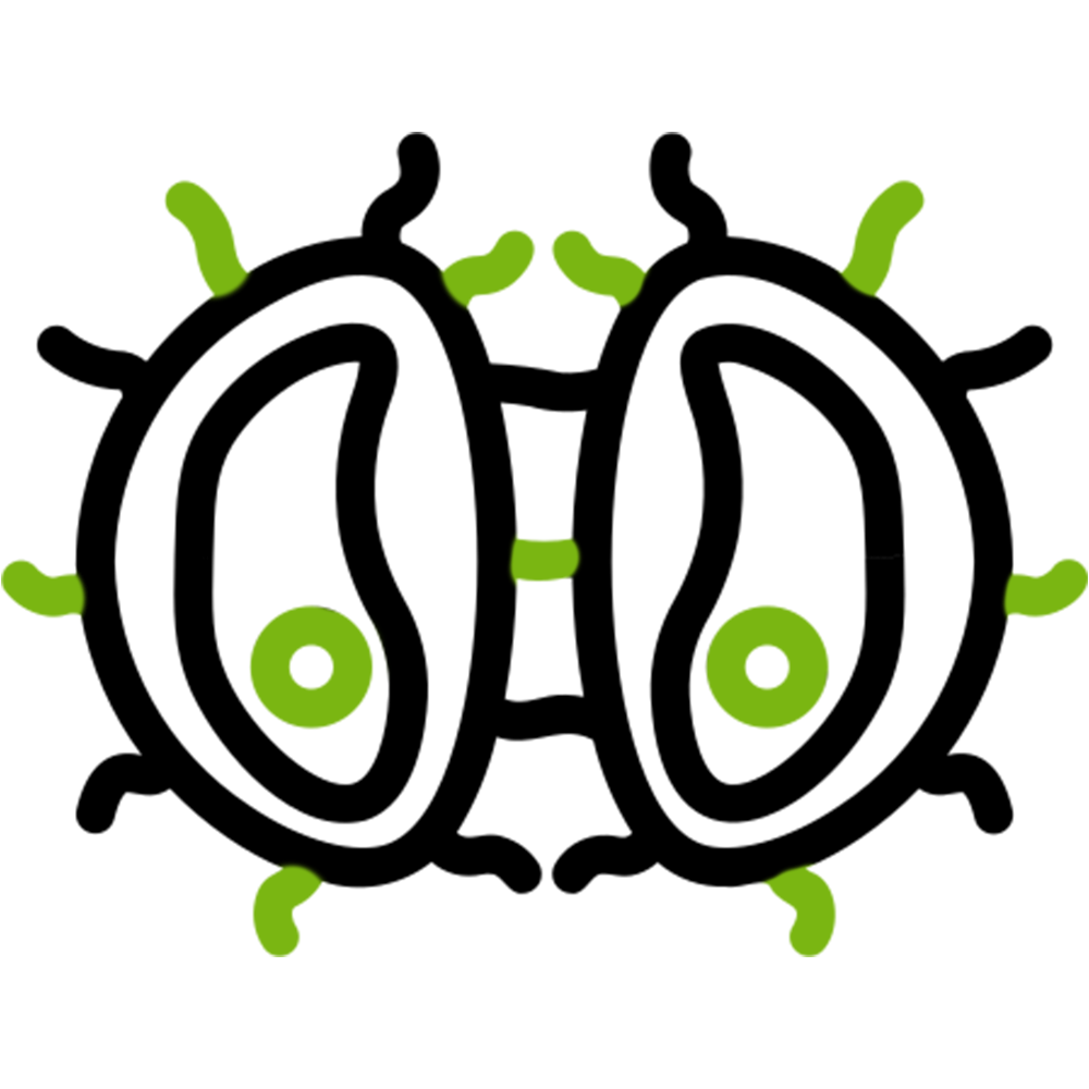 Ticks