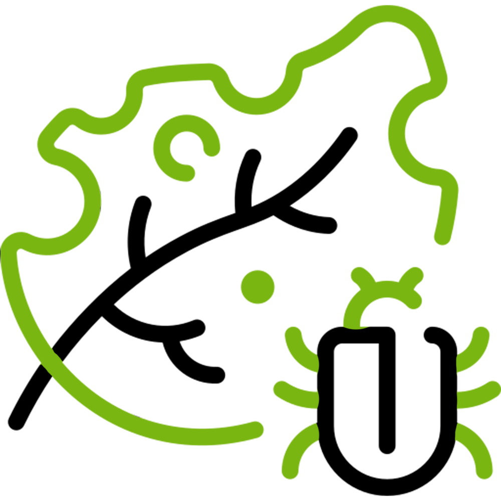 Ticks
