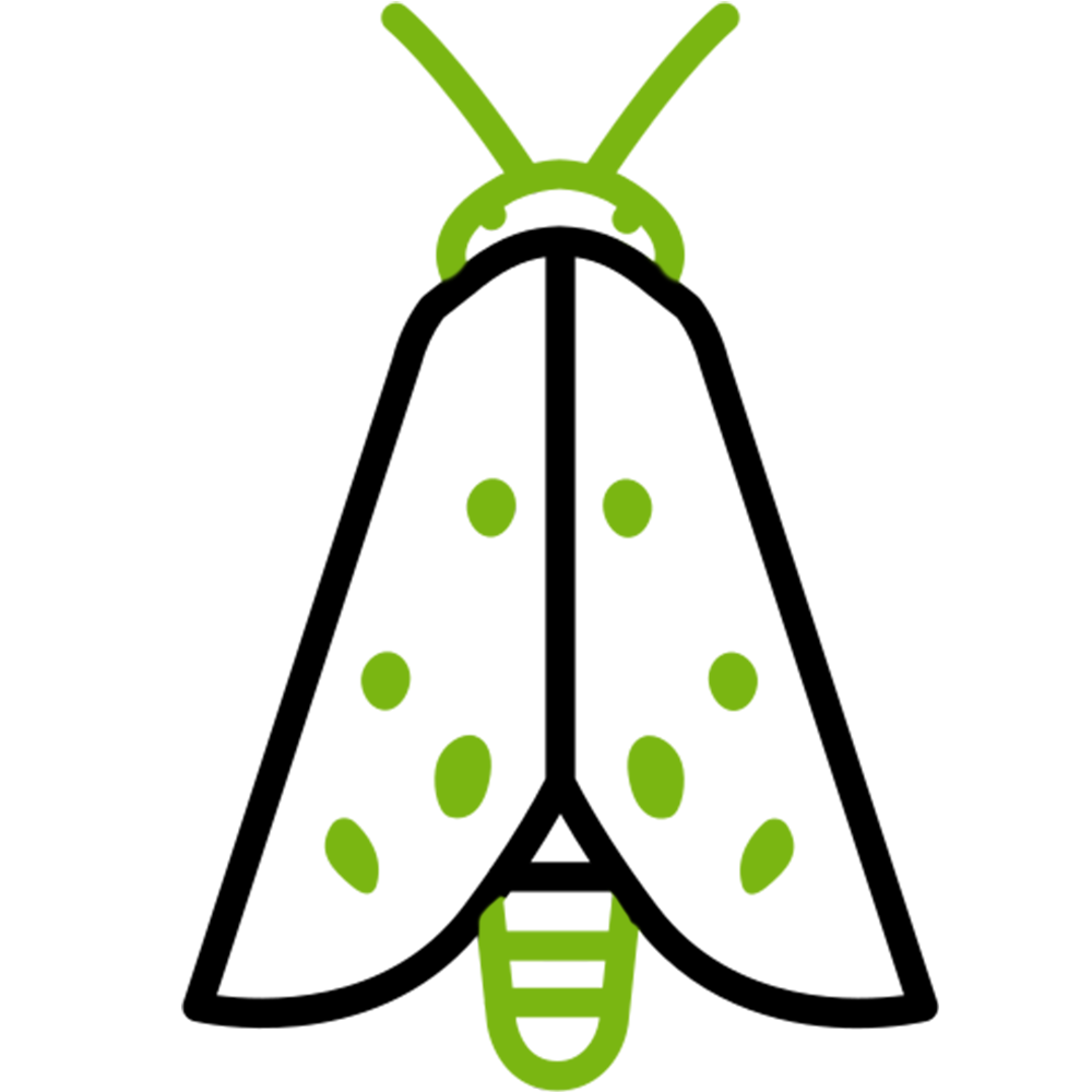 Ticks