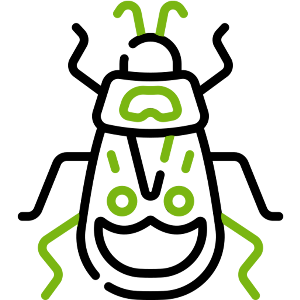 Ticks