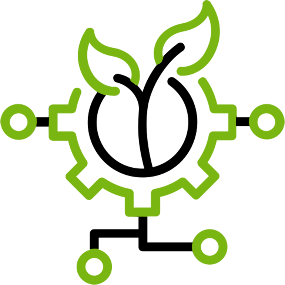 Ticks