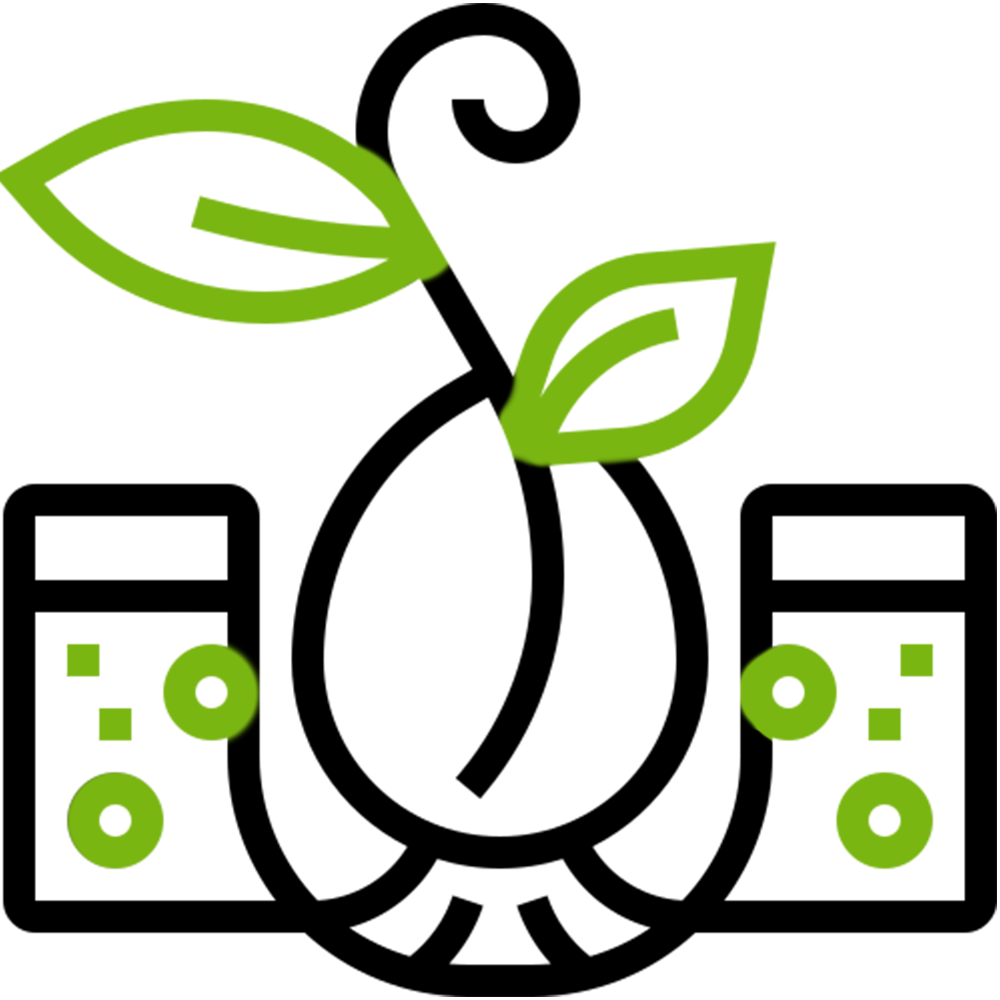 Ticks
