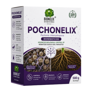 Pochonelix