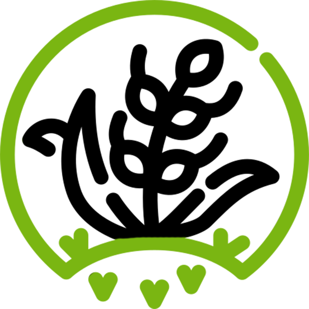 Ticks