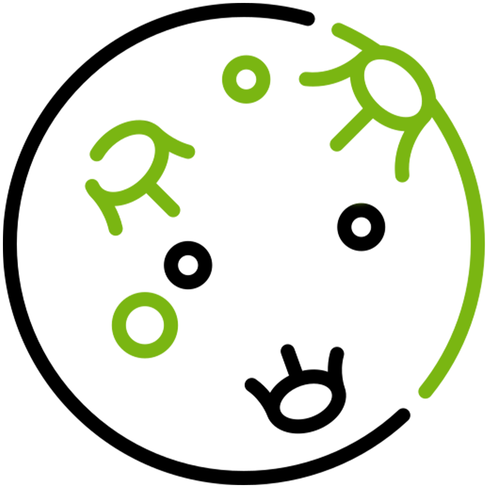 Ticks