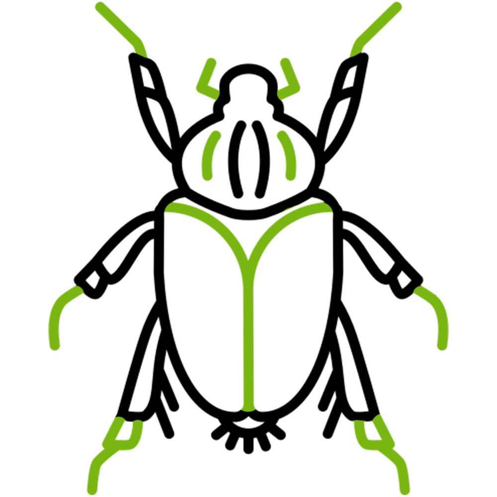 Ticks