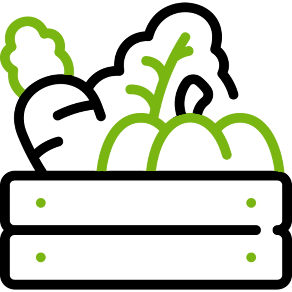 Ticks