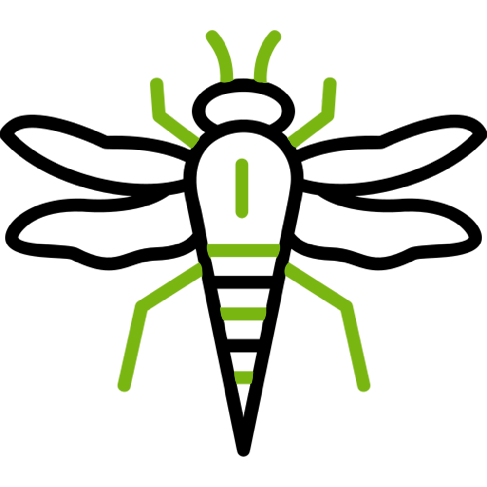 Ticks